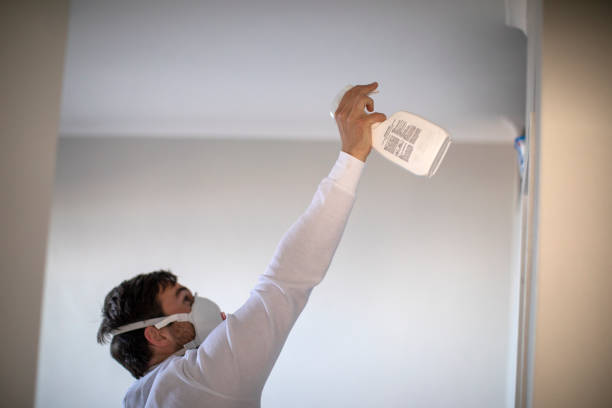Best Mold Remediation  in Coupeville, WA