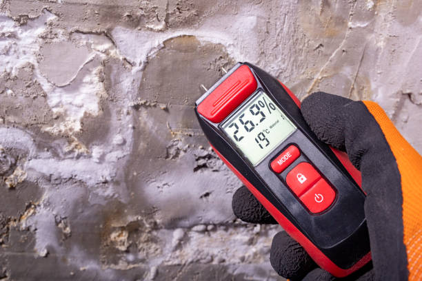 Best Local Mold Removal Service  in Coupeville, WA