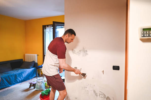 Best Mold Removal Company Near Me  in Coupeville, WA