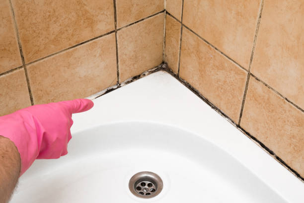 Best Mold Damage Repair  in Coupeville, WA